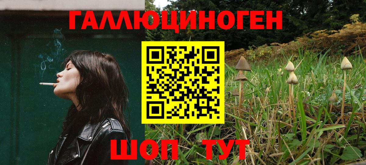 Псилоцибиновые грибы MAGIC MUSHROOMS  Вход с VPN  Кострома 