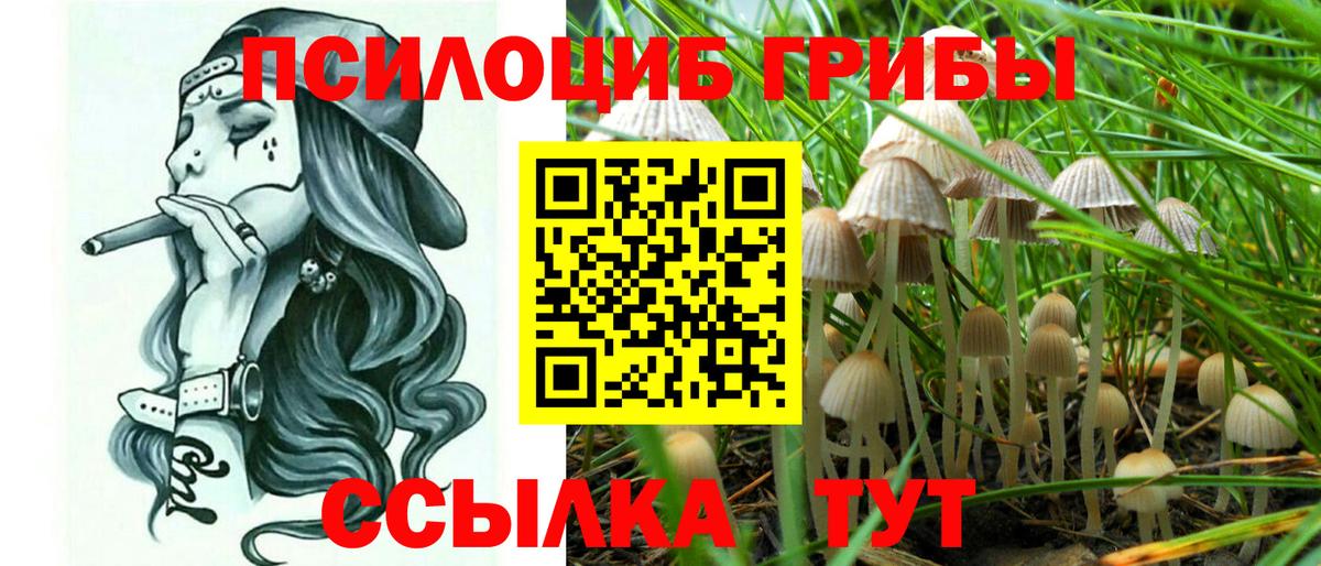 Псилоцибиновые грибы прущие грибы Кострома